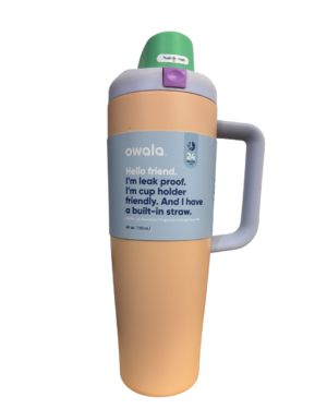 Termo Owala Original