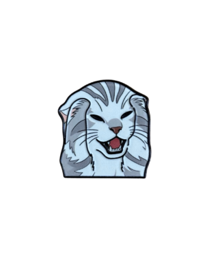 Pin gato preocupado