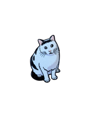Pin Gato confundido